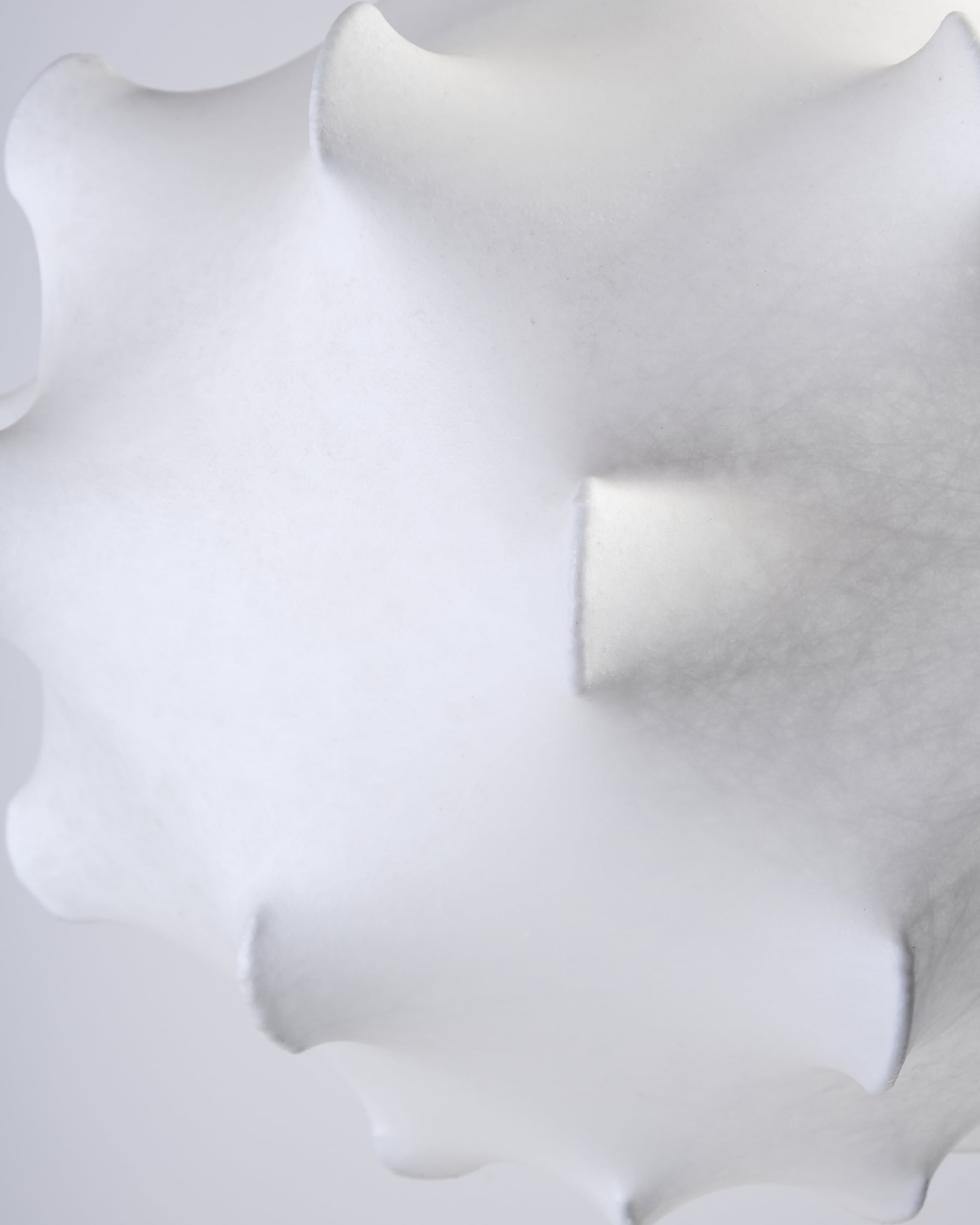 Taraxacum Pendant Light