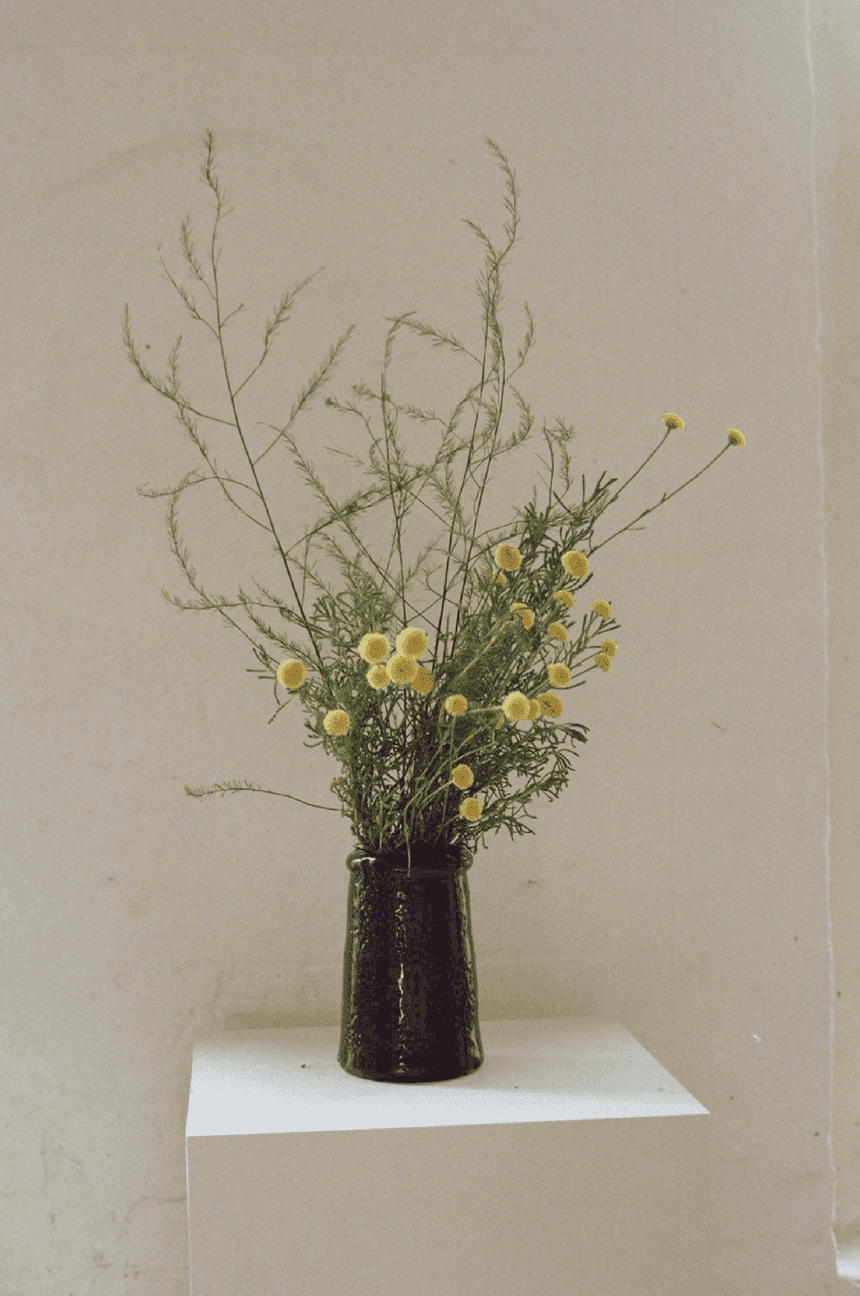 Black Donut Vase