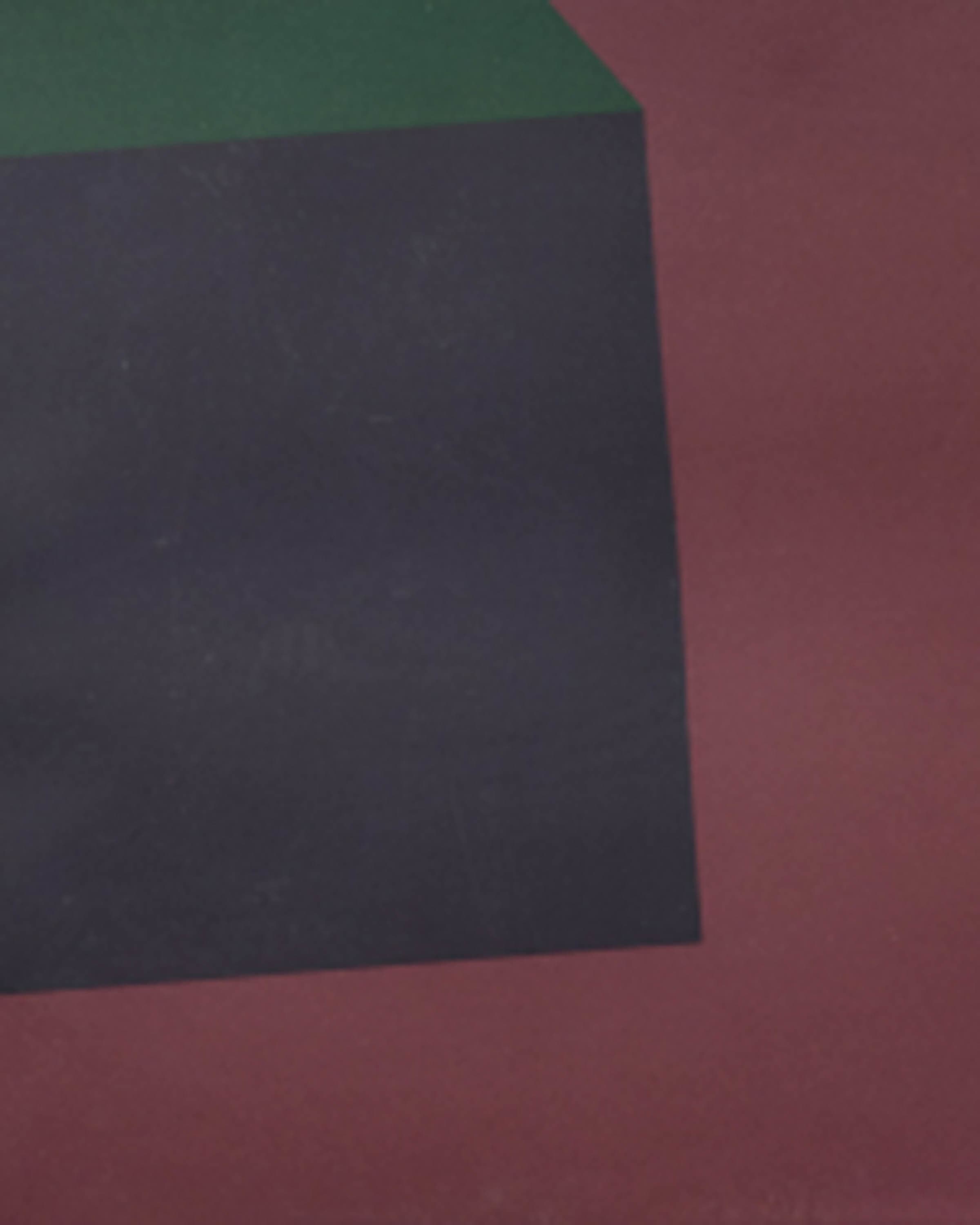 Two Cubes with Colors Superimposed (Red)