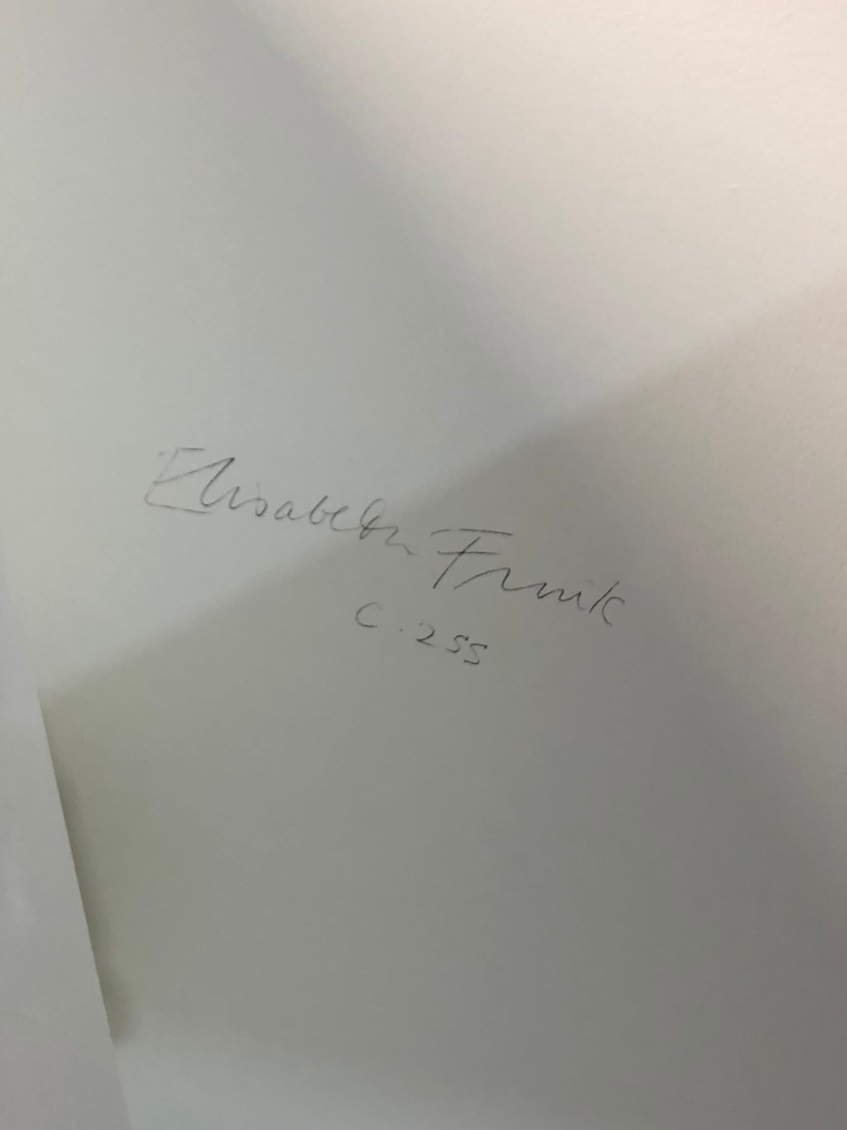 The Canterbury Tales: Chaucer's Tale of Sir Topaz