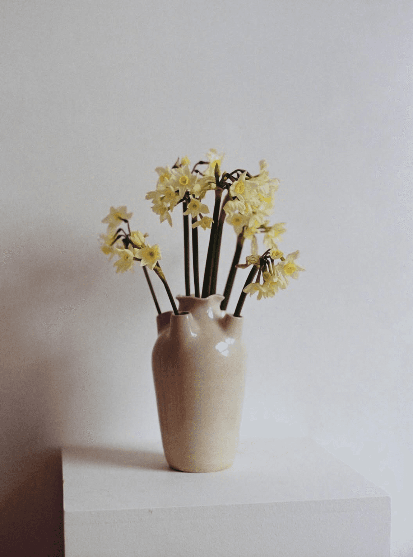 Four Spouted Tulipiere, Off White