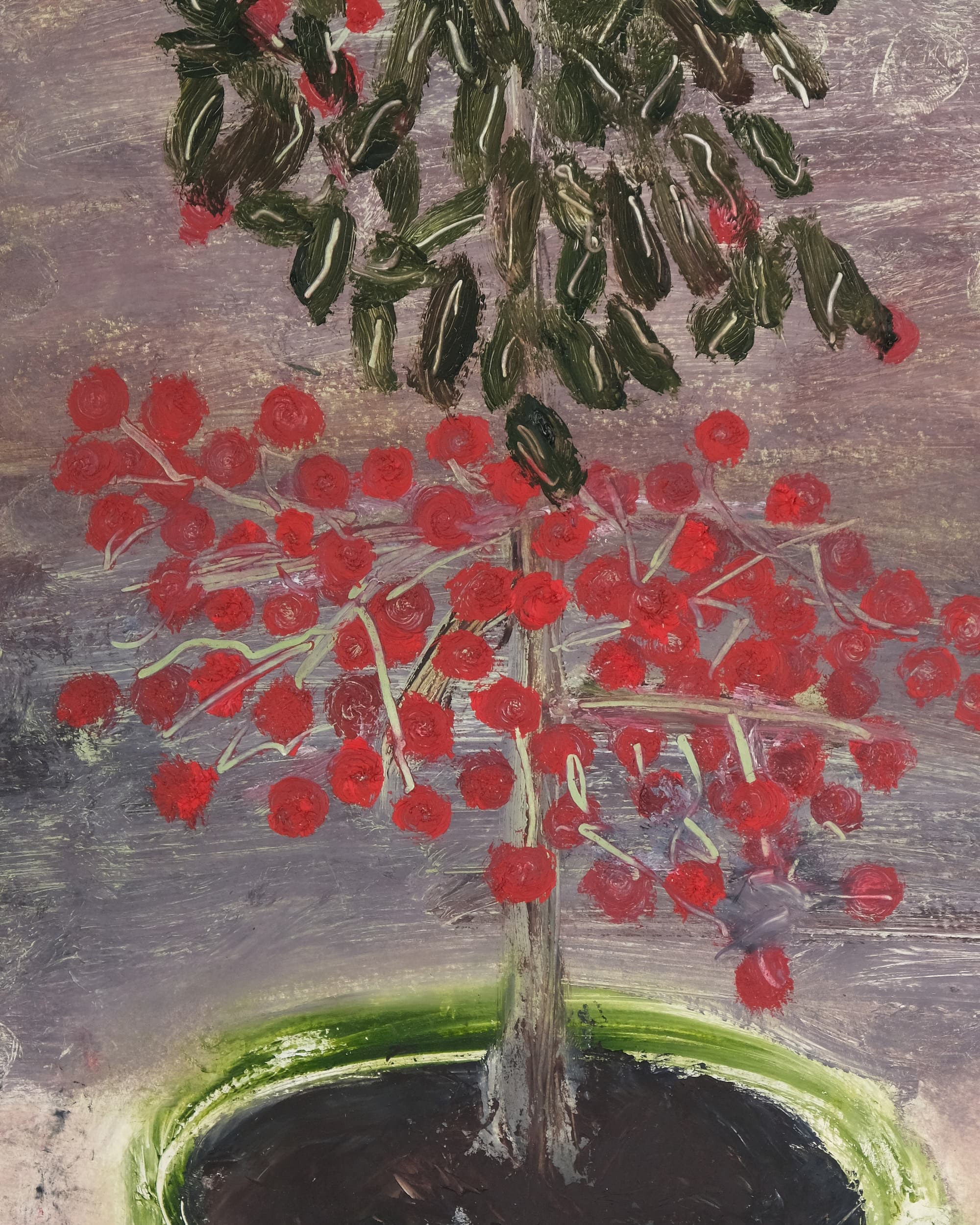 Ardisia crispa (Coral berry)