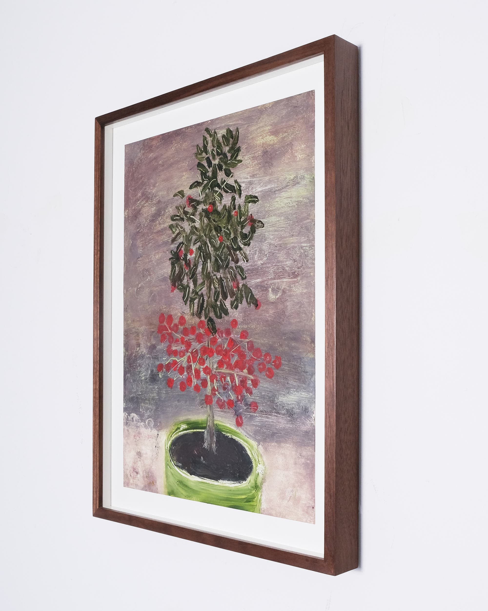 Ardisia crispa (Coral berry)
