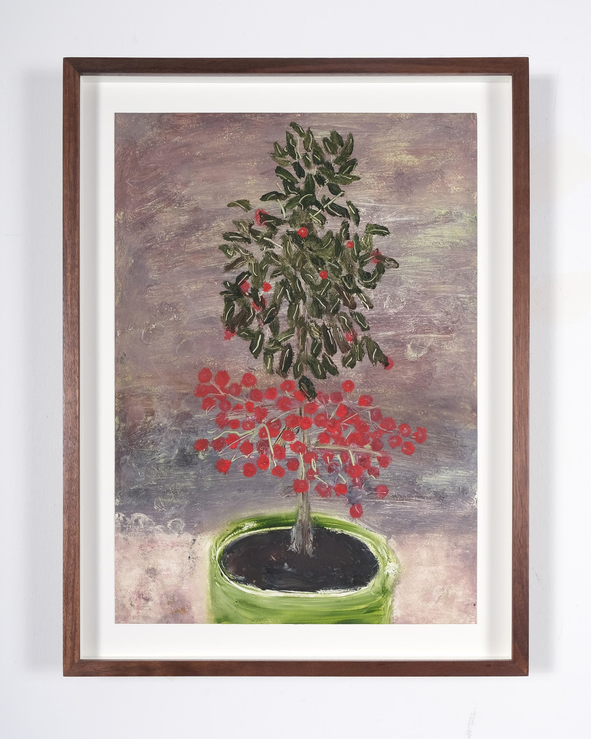 Ardisia crispa (Coral berry)