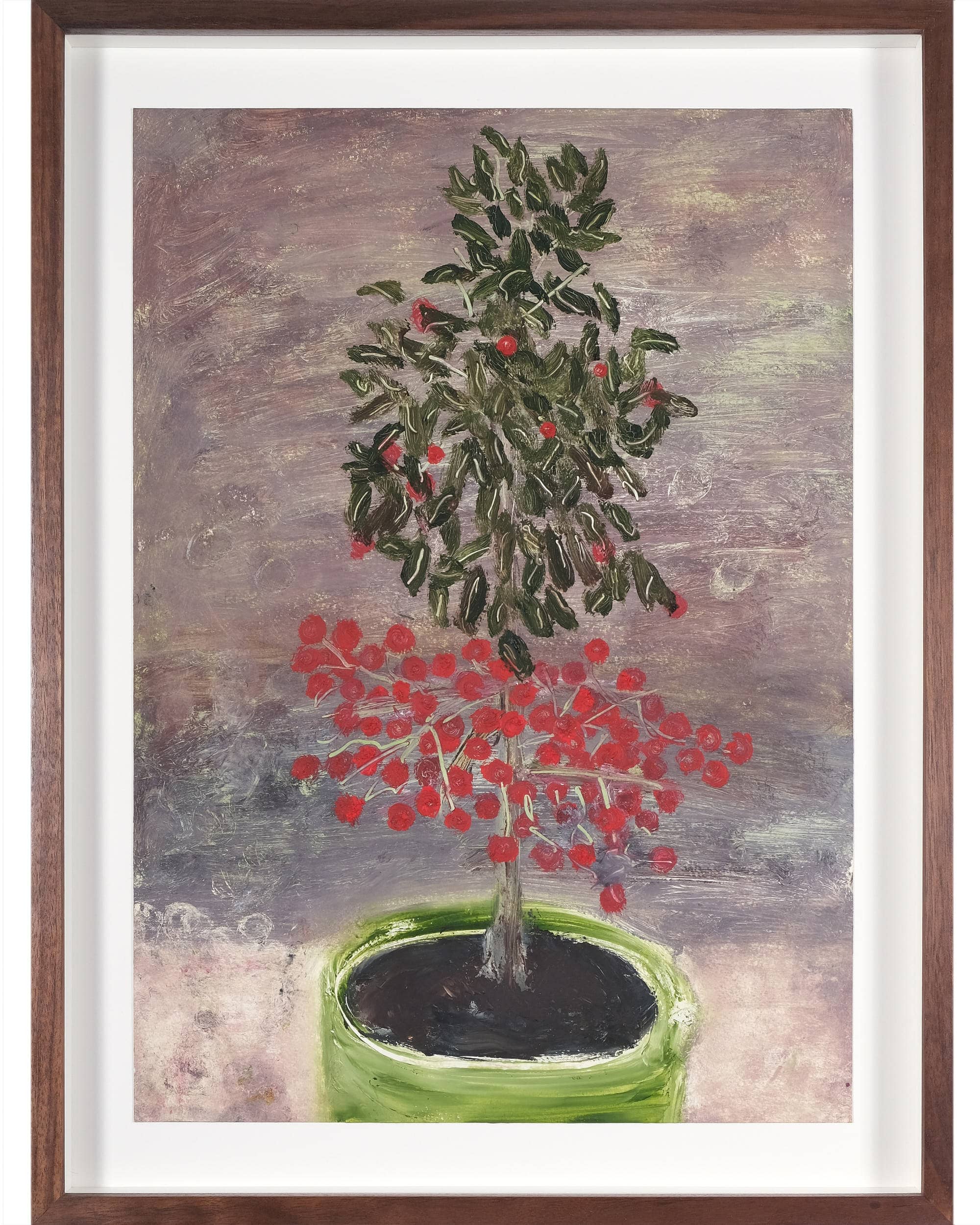 Ardisia crispa (Coral berry)