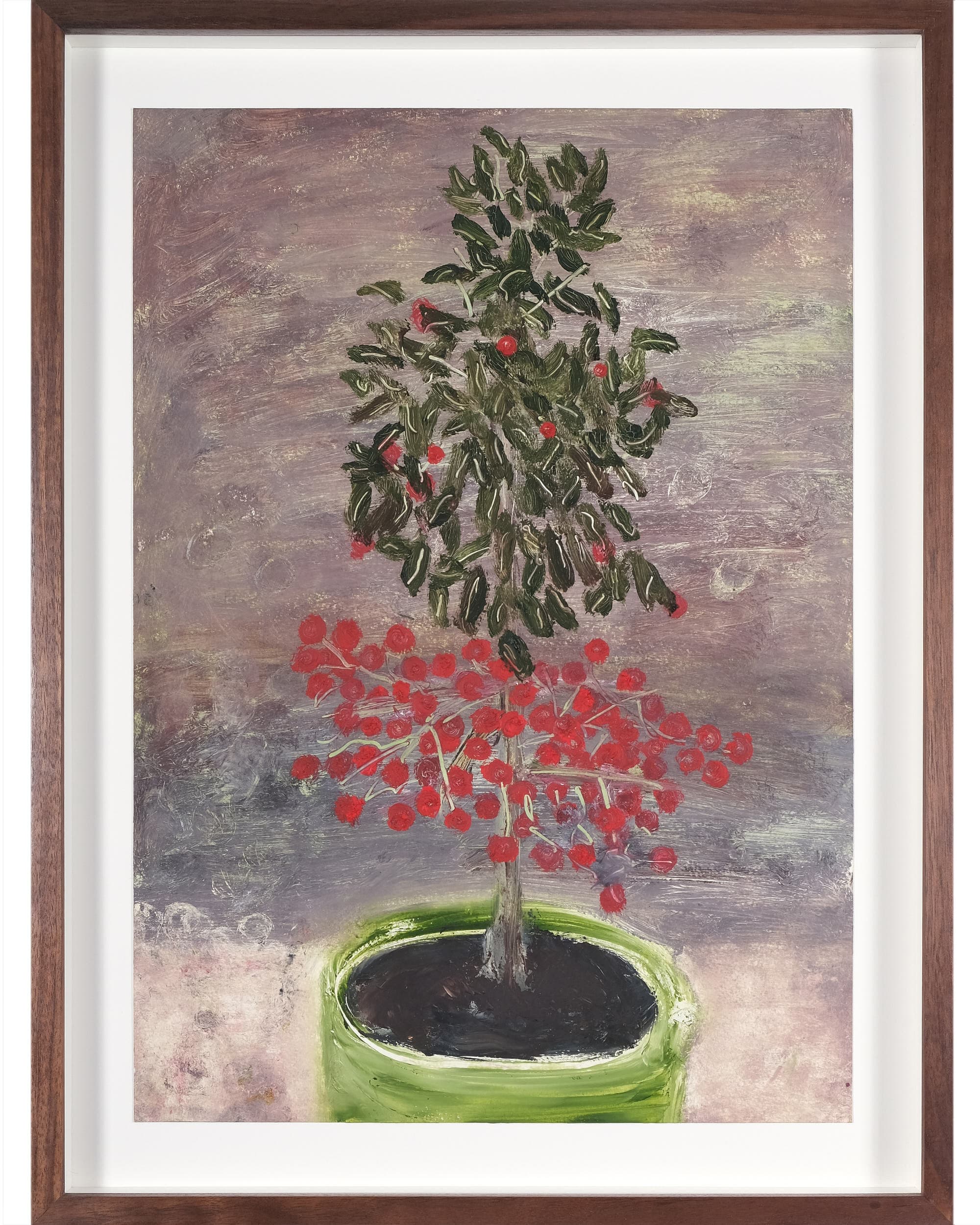 Ardisia crispa (Coral berry)