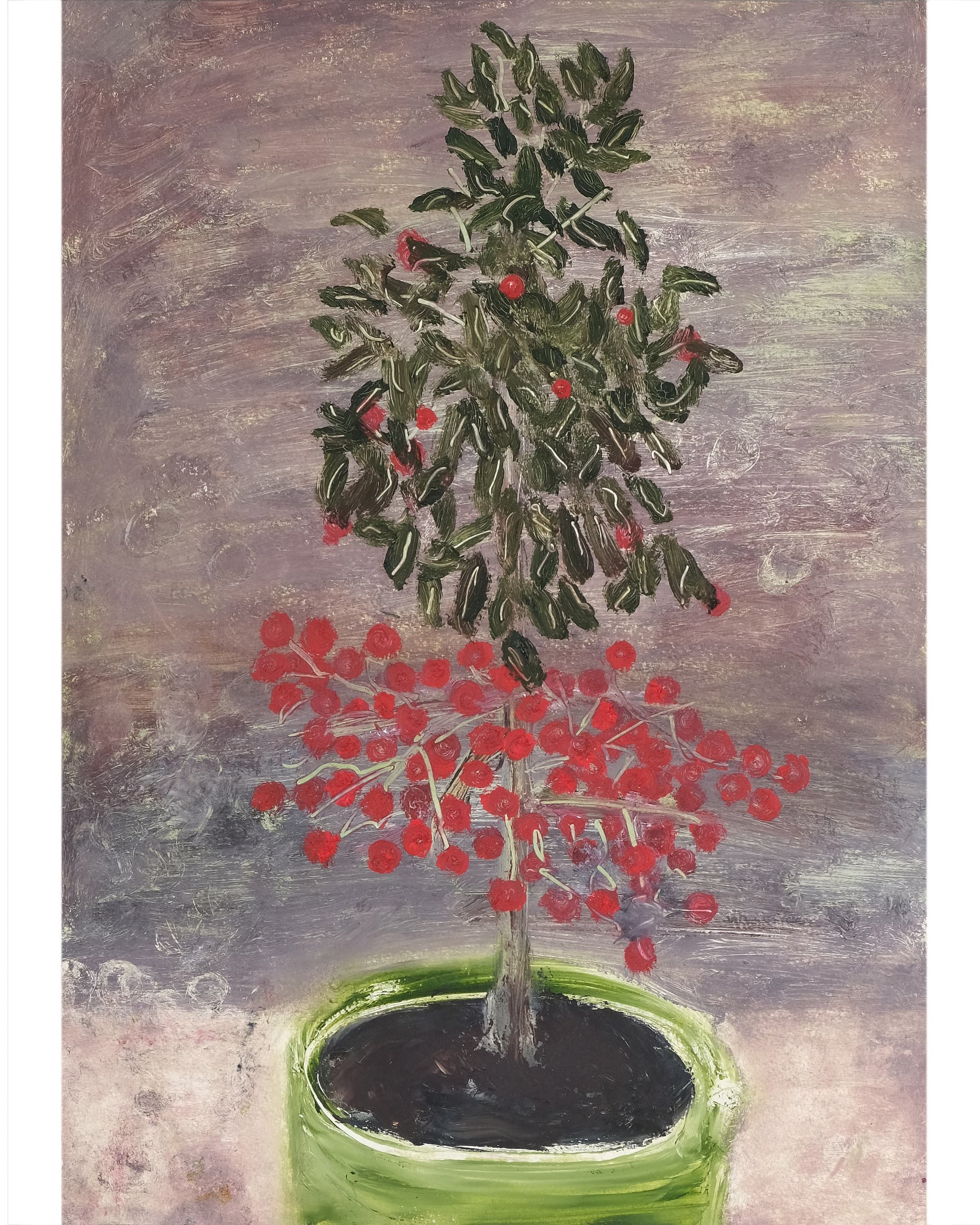 Ardisia crispa (Coral berry)