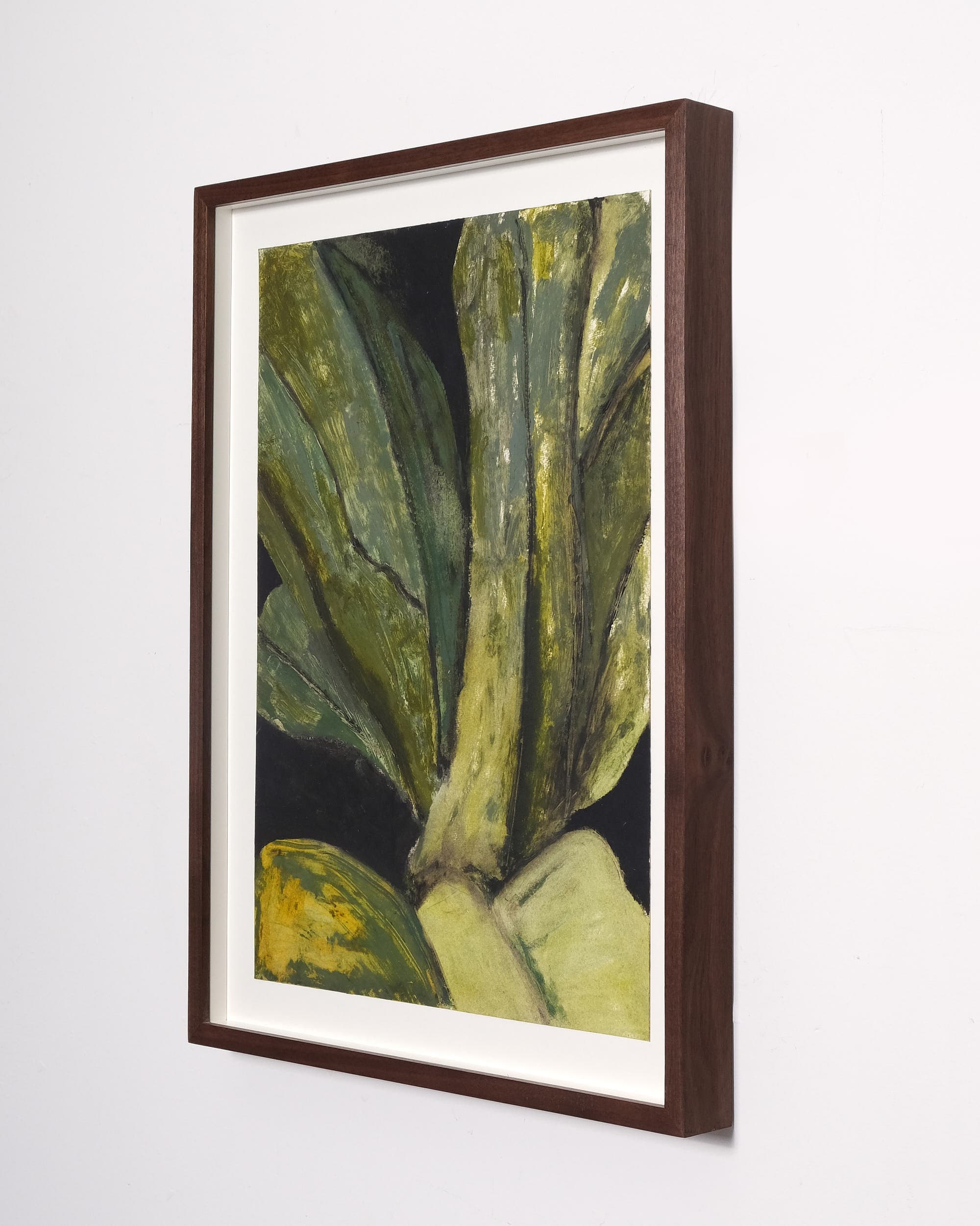Asplenium nidus (Bird’s nest fern)