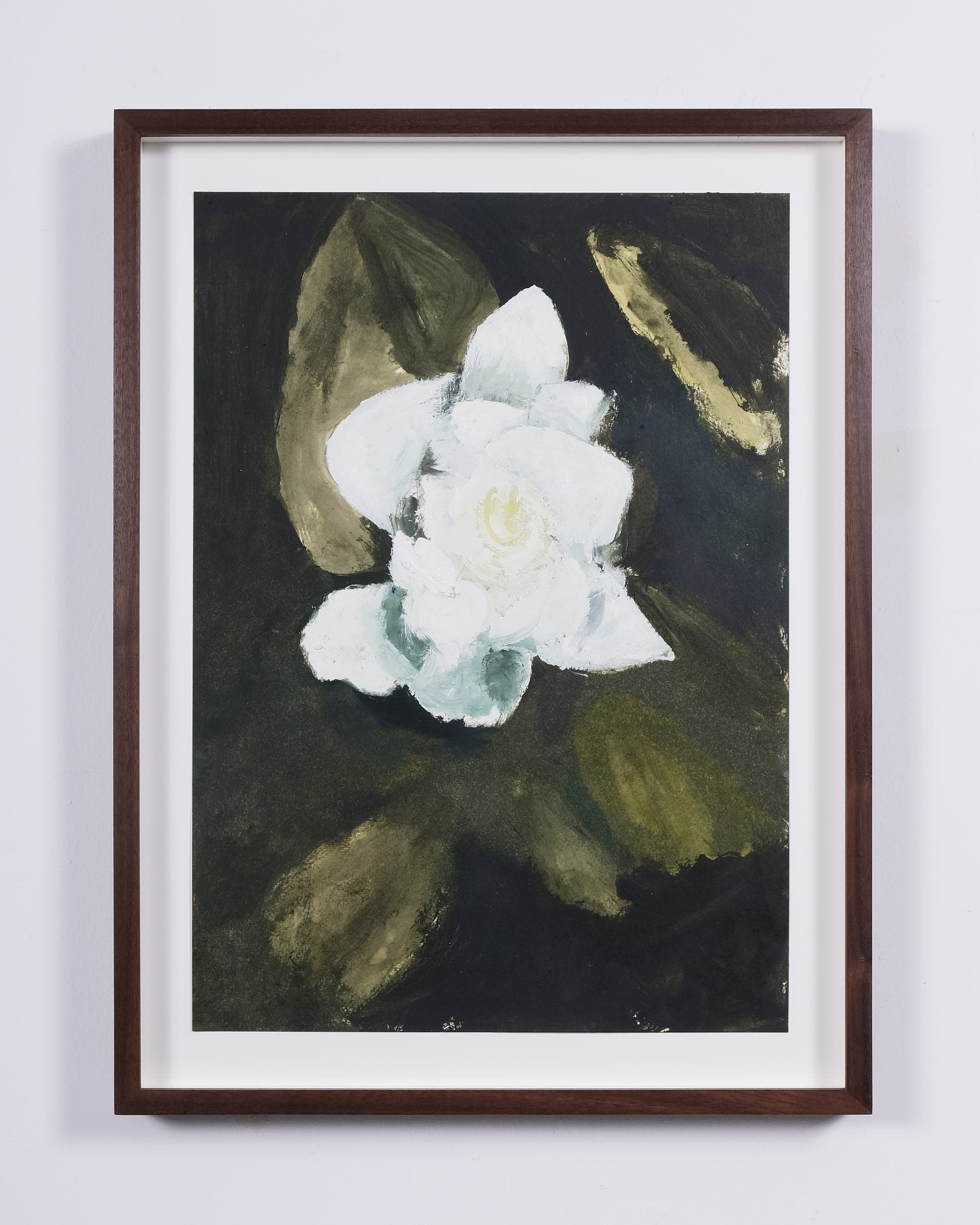Gardenia jasminoides (Cape jasmine)
