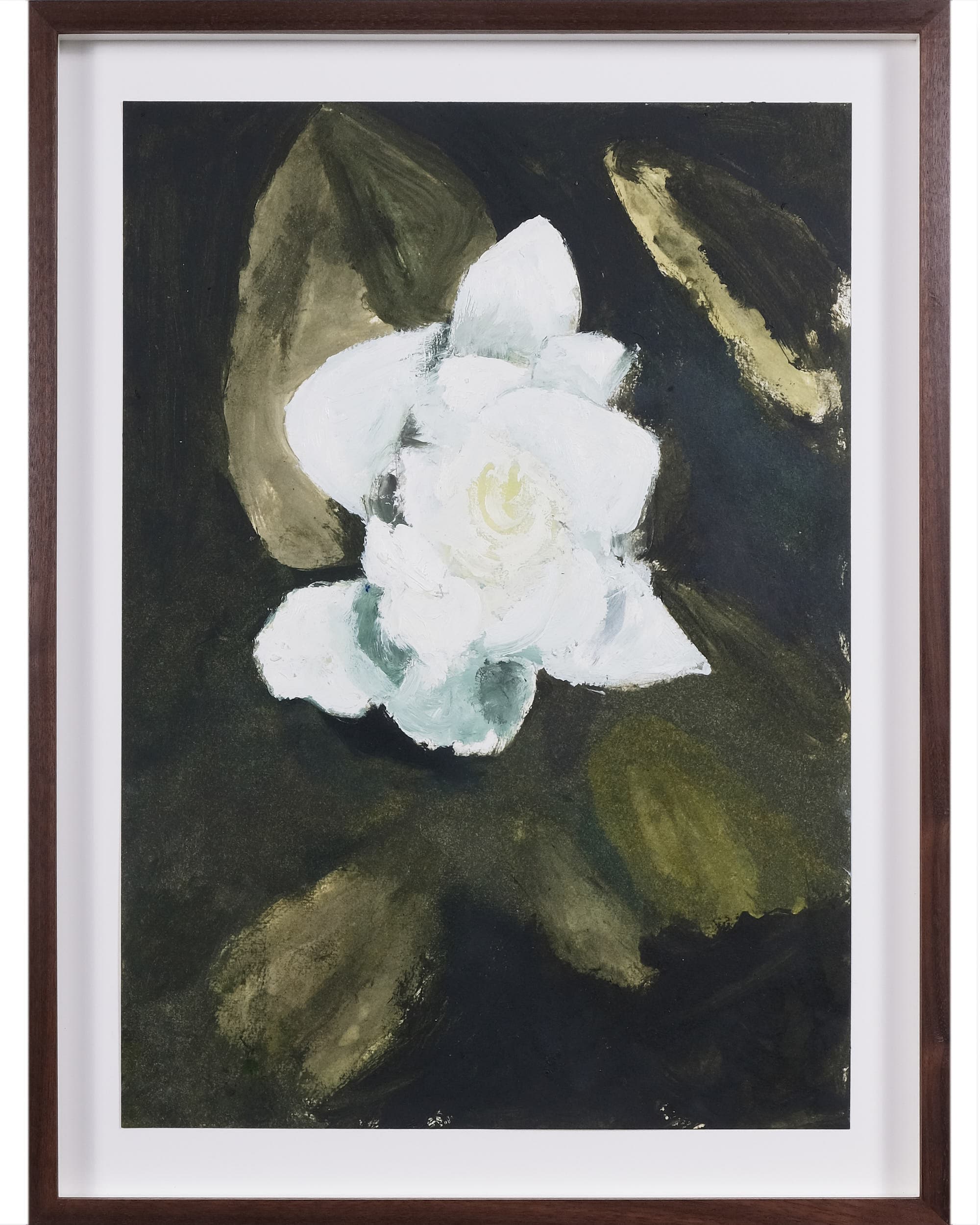 Gardenia jasminoides (Cape jasmine)