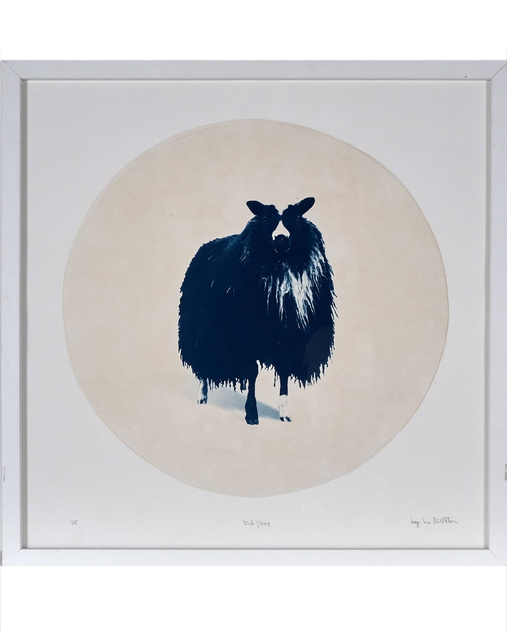 Kind / Sheep