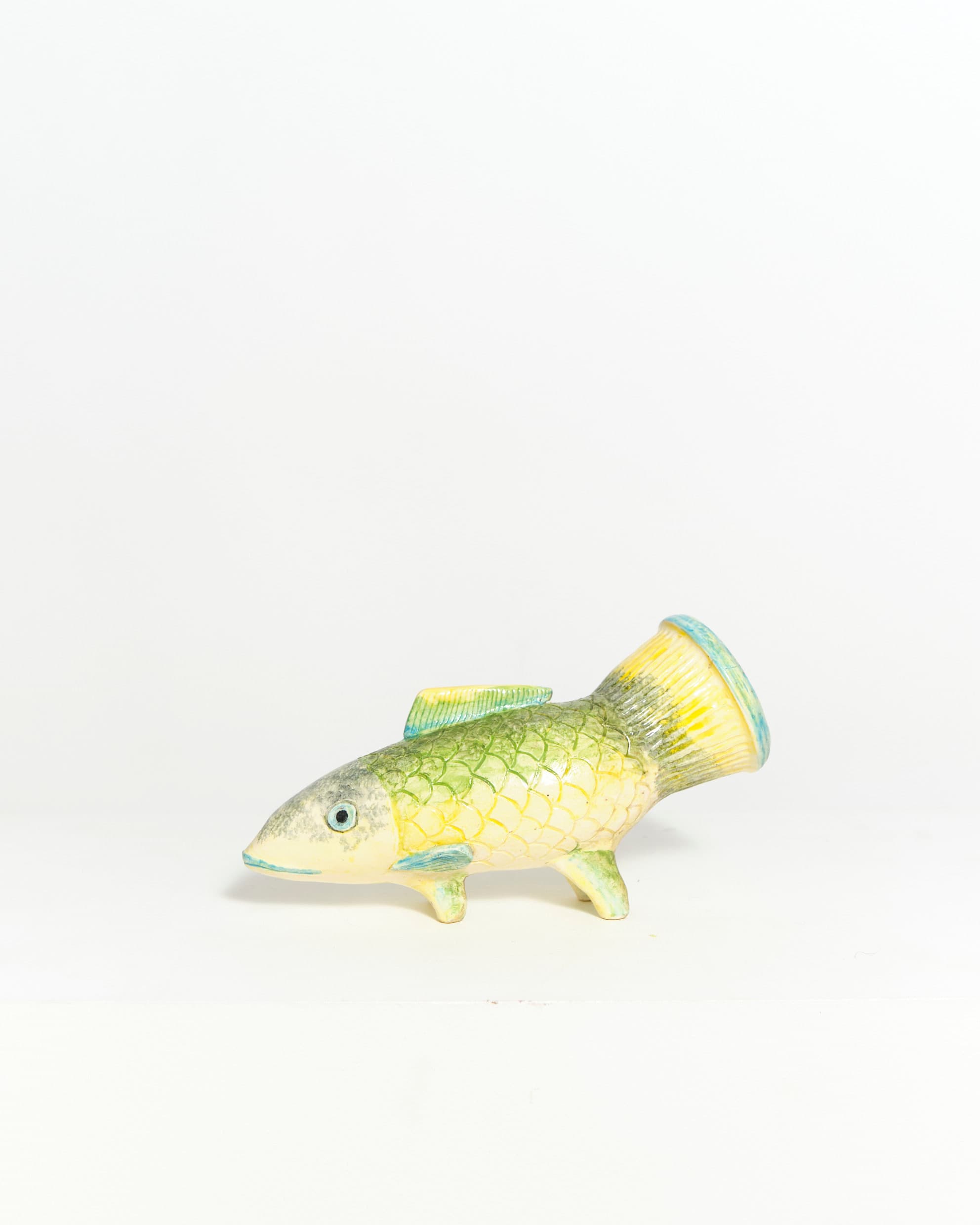 Rainbow Parrot Fish Vessel