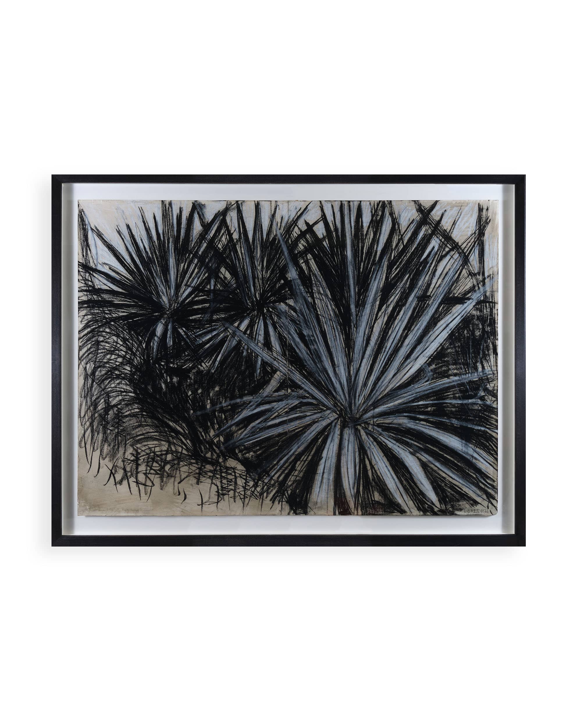 Untitled (Palms)