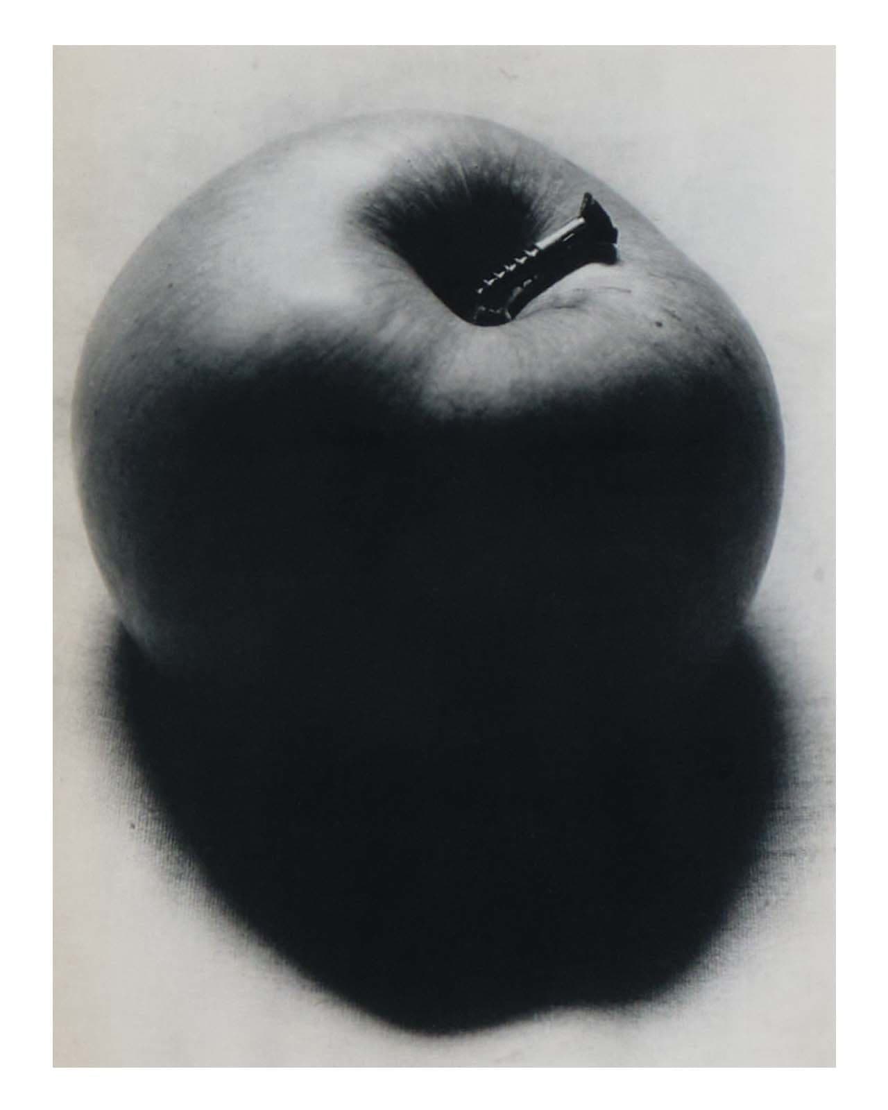 Apple with Wood Screw