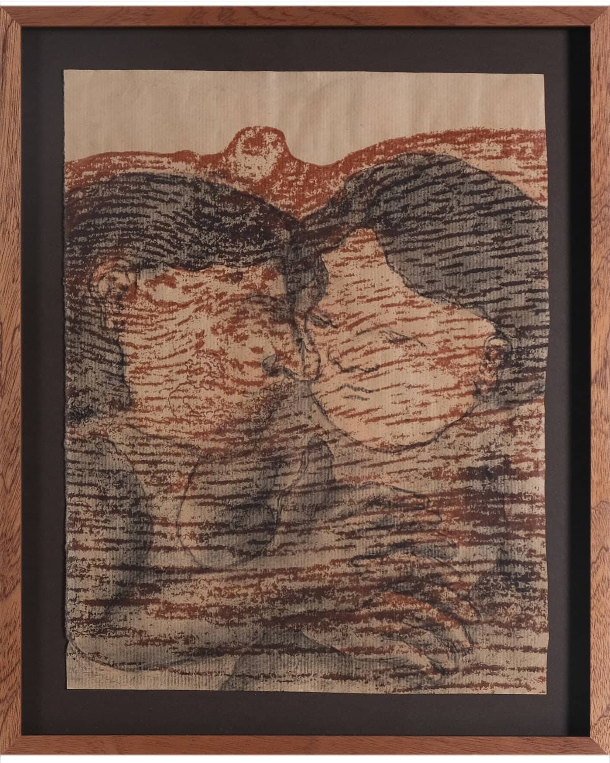 Trails of the Bark