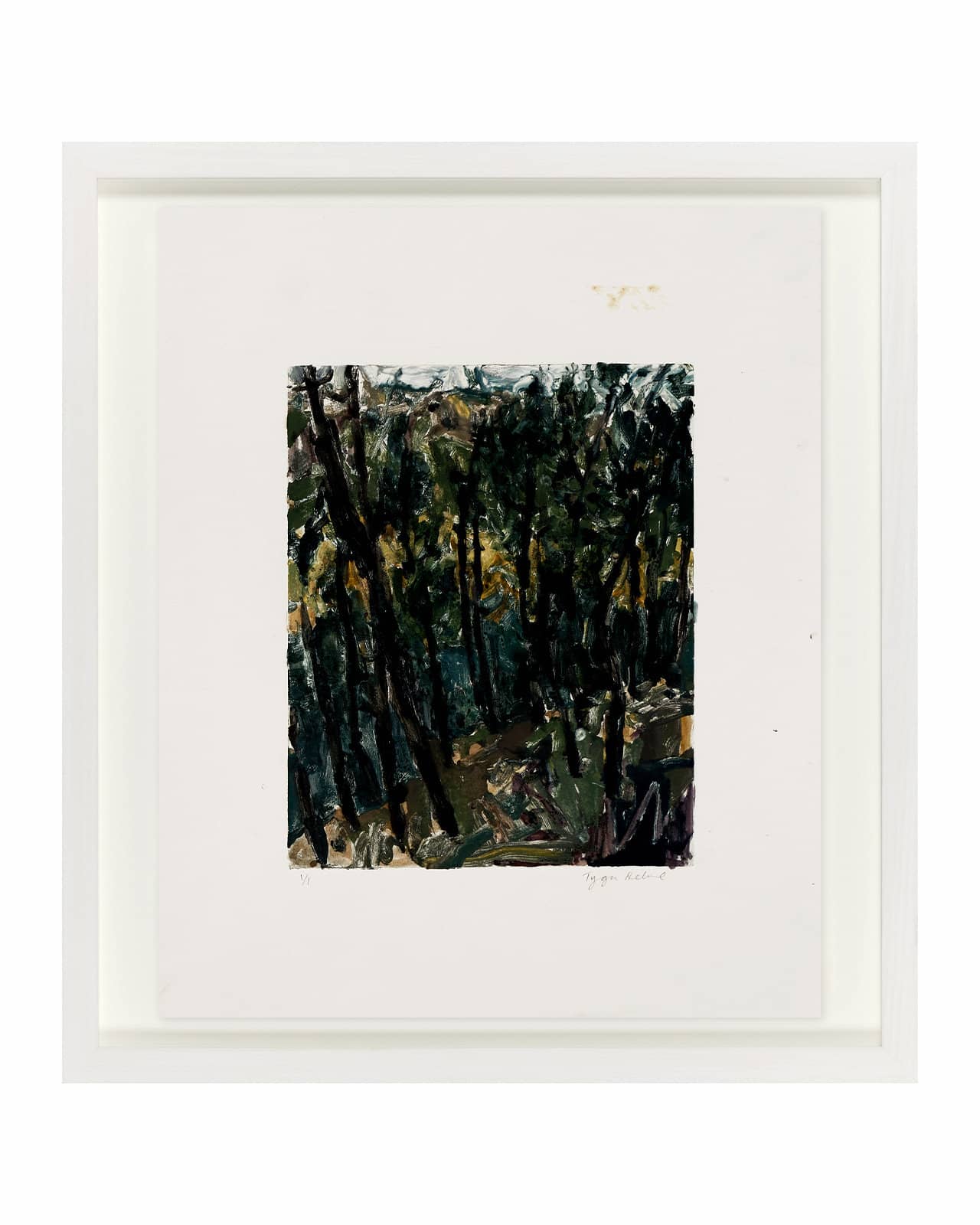 Himalayan Forest