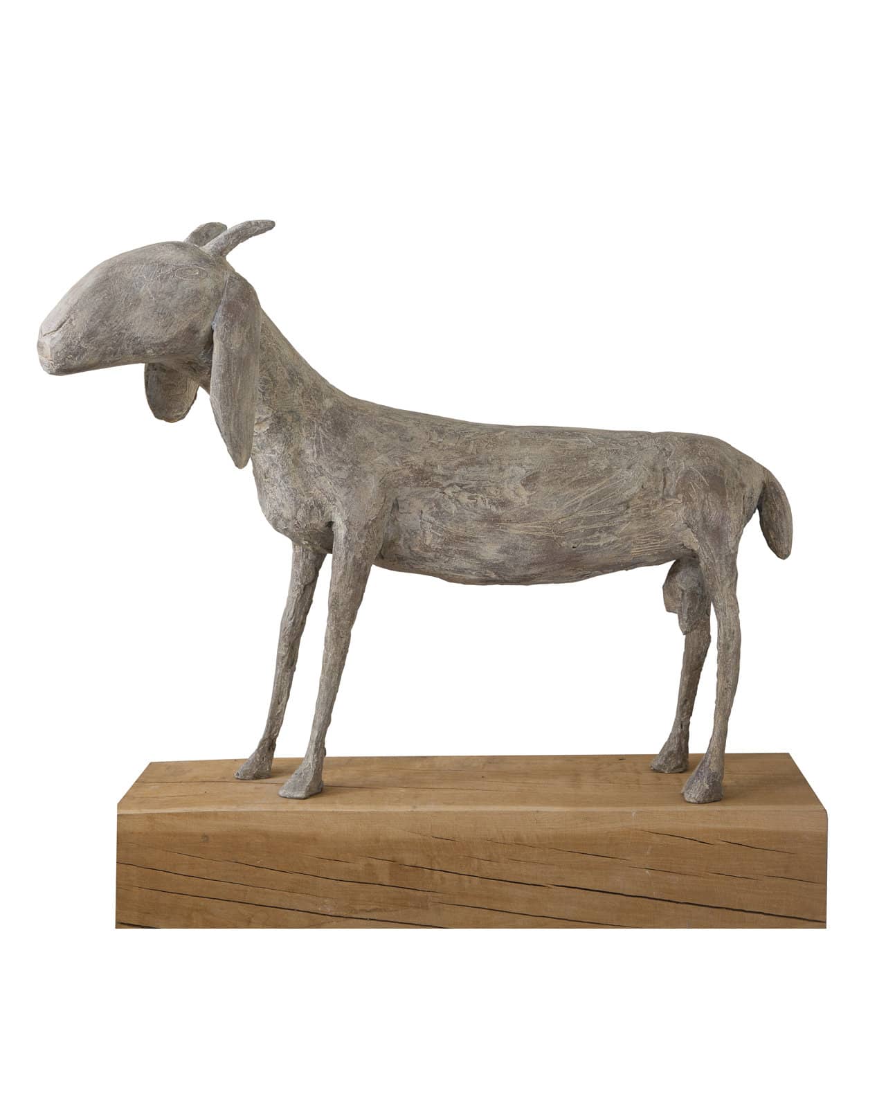 Long Eared Goat