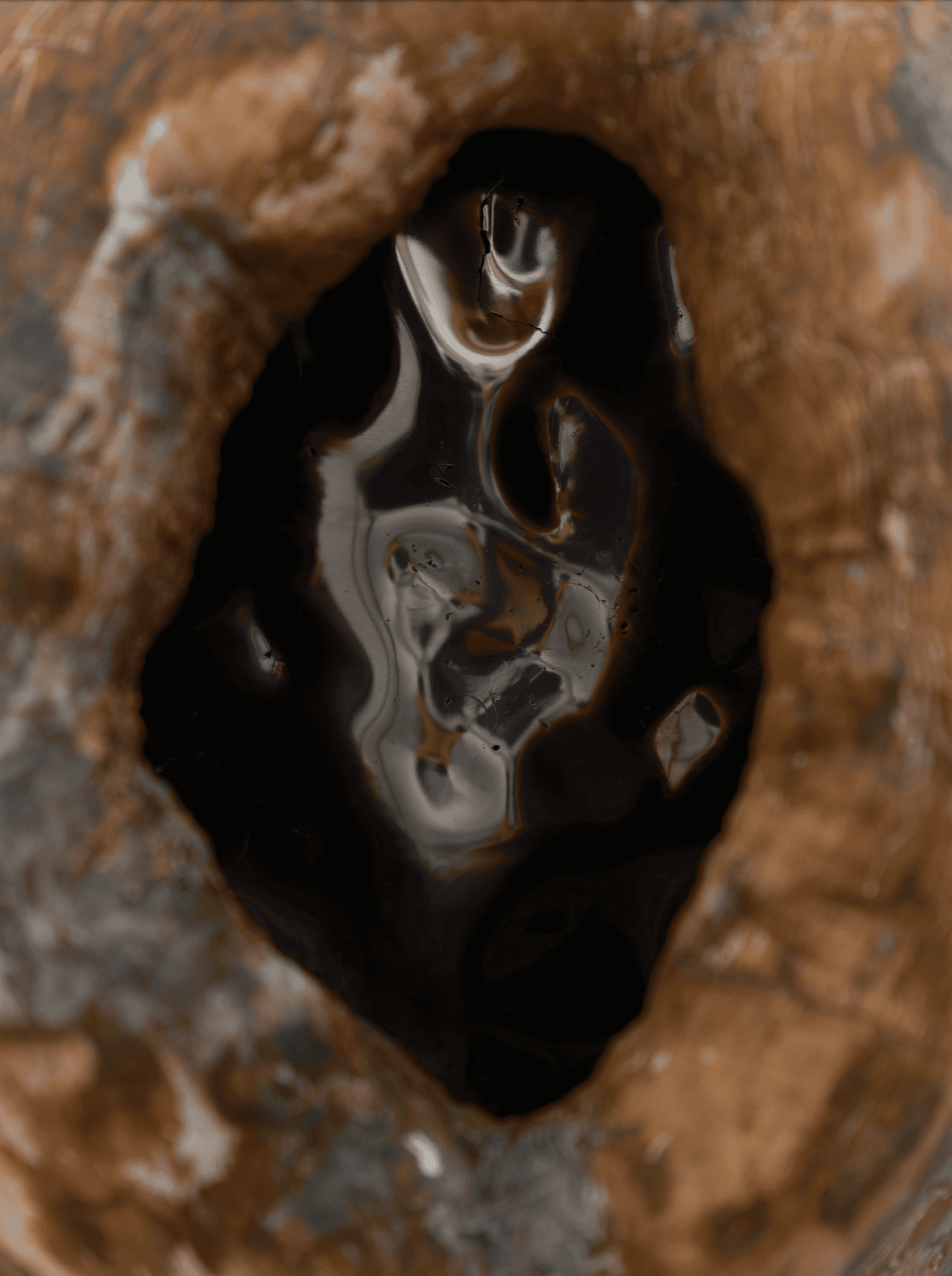 The View Through